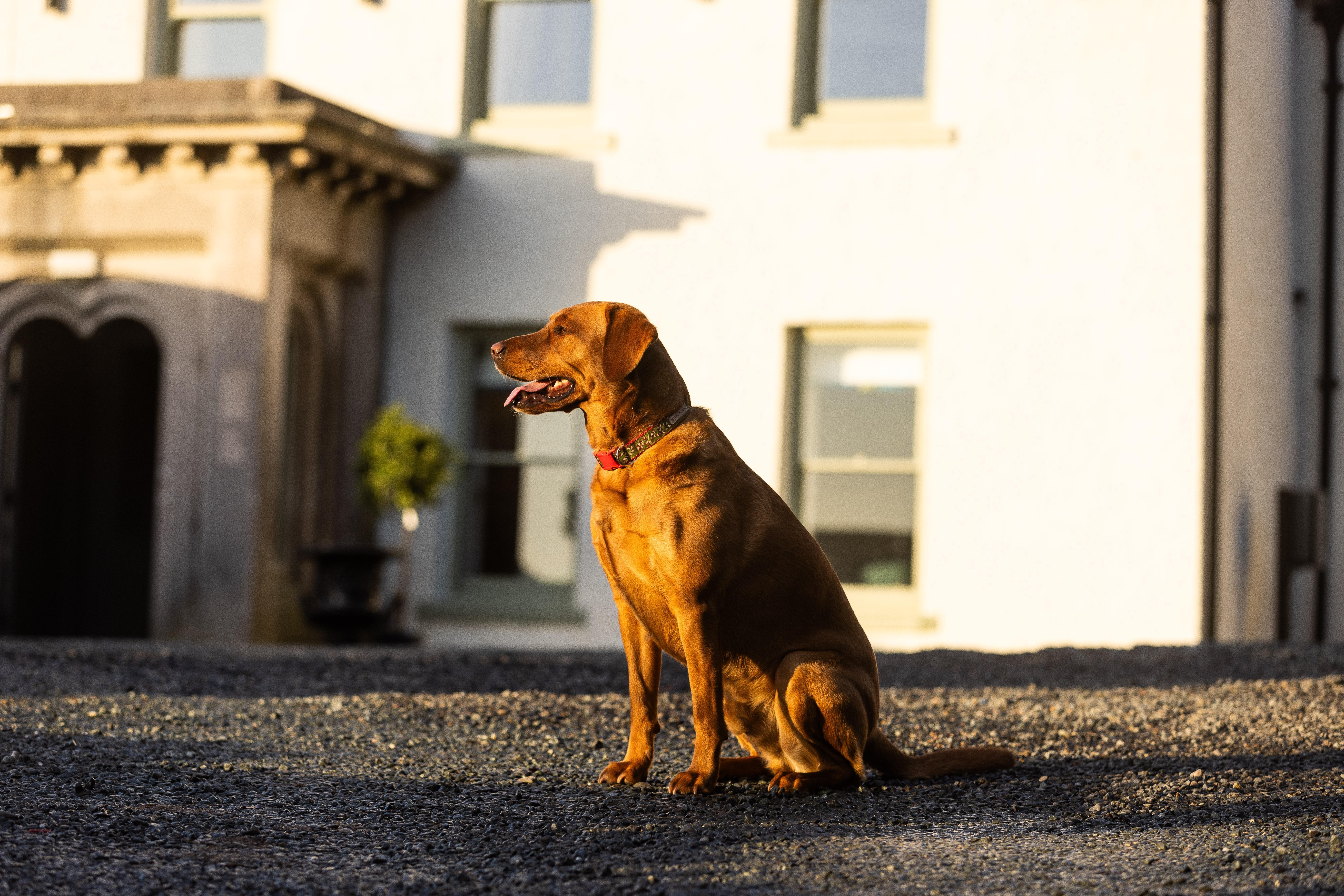 Bed and Breakfast Aynsome Manor Cartmel Exteriér fotografie